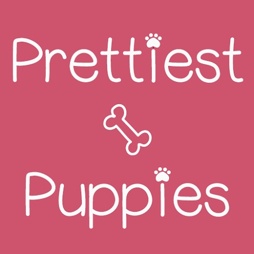 AboutMe banner for @prettiest