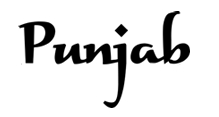 AboutMe banner for @punjab