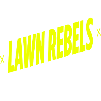 AboutMe banner for @rebels