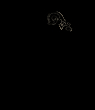 AboutMe banner for @ripley