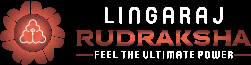 AboutMe banner for @rudraksha