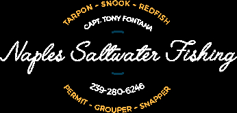AboutMe banner for @saltwater
