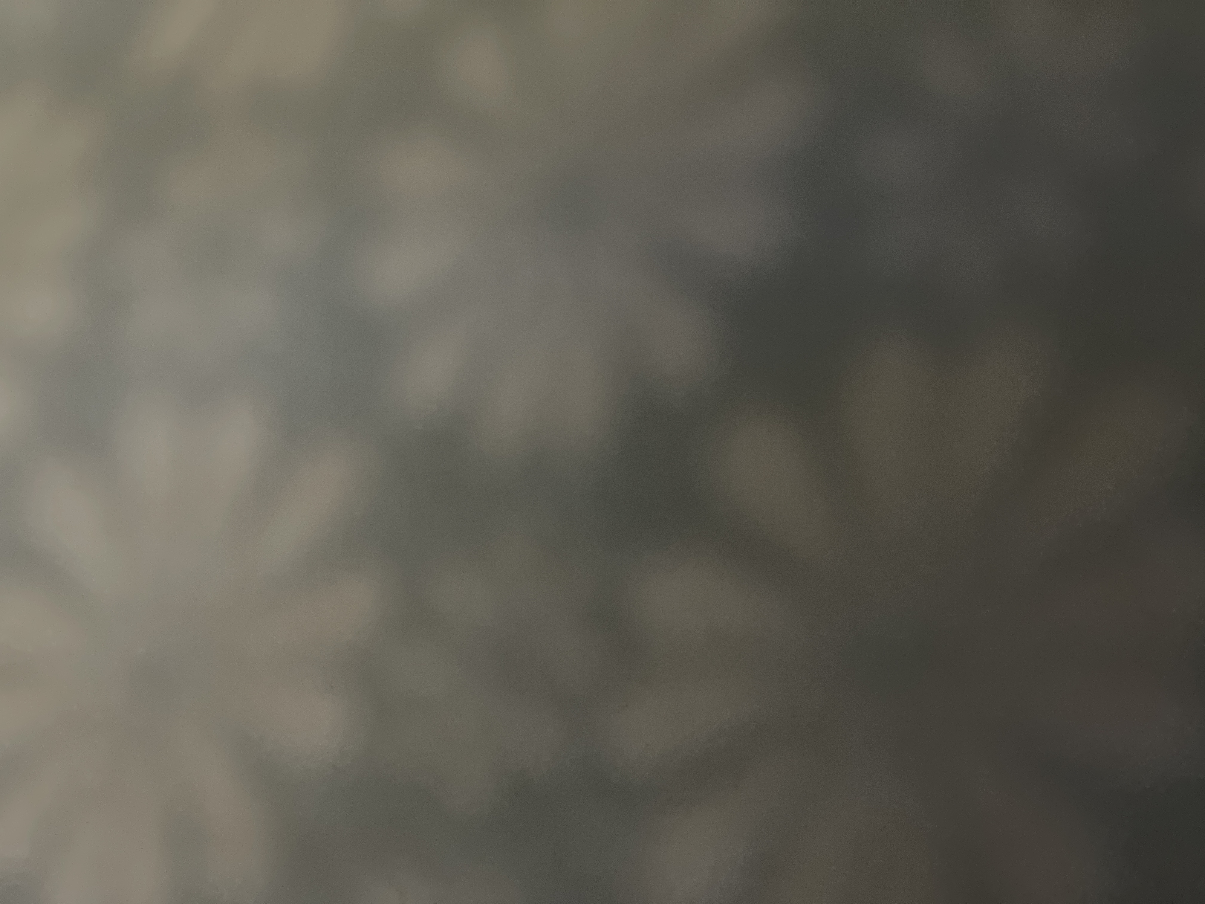 AboutMe banner for @shravani