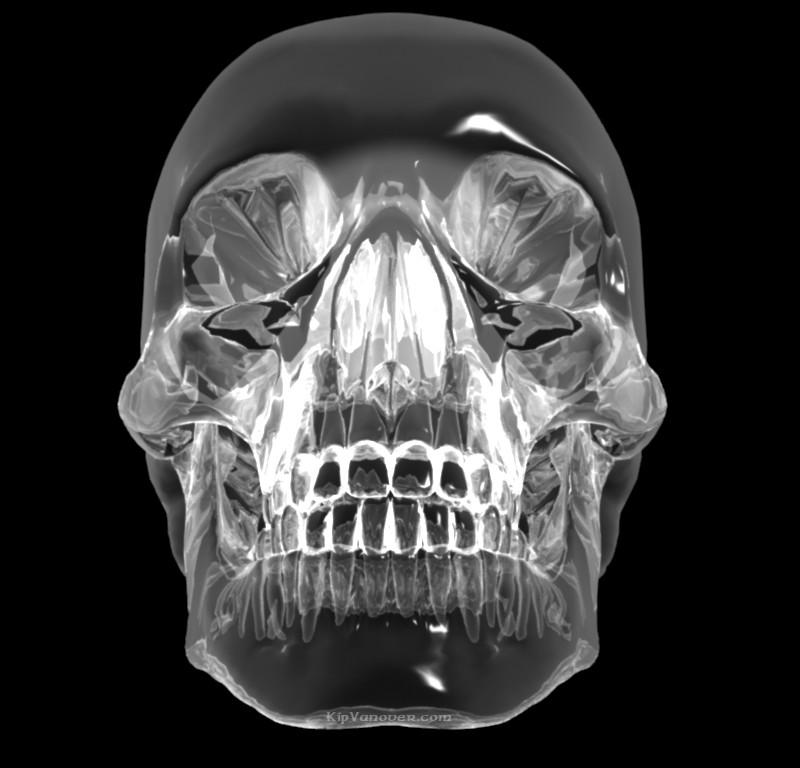 AboutMe banner for @Skulls