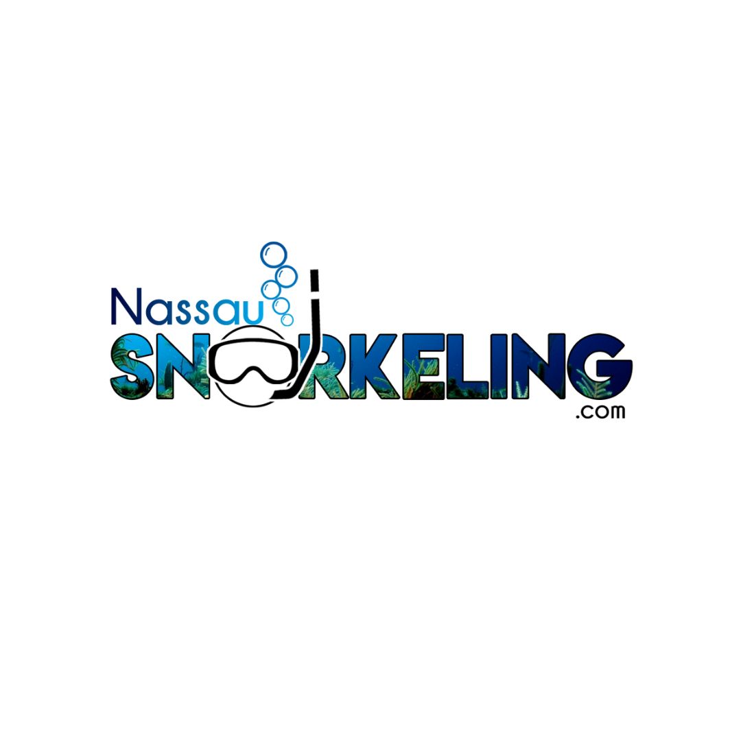 AboutMe banner for @snorkeling
