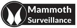 AboutMe banner for @surveillance