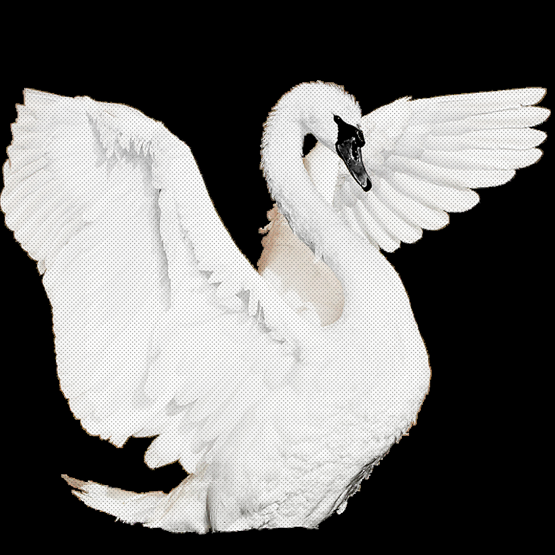 AboutMe banner for @Swan