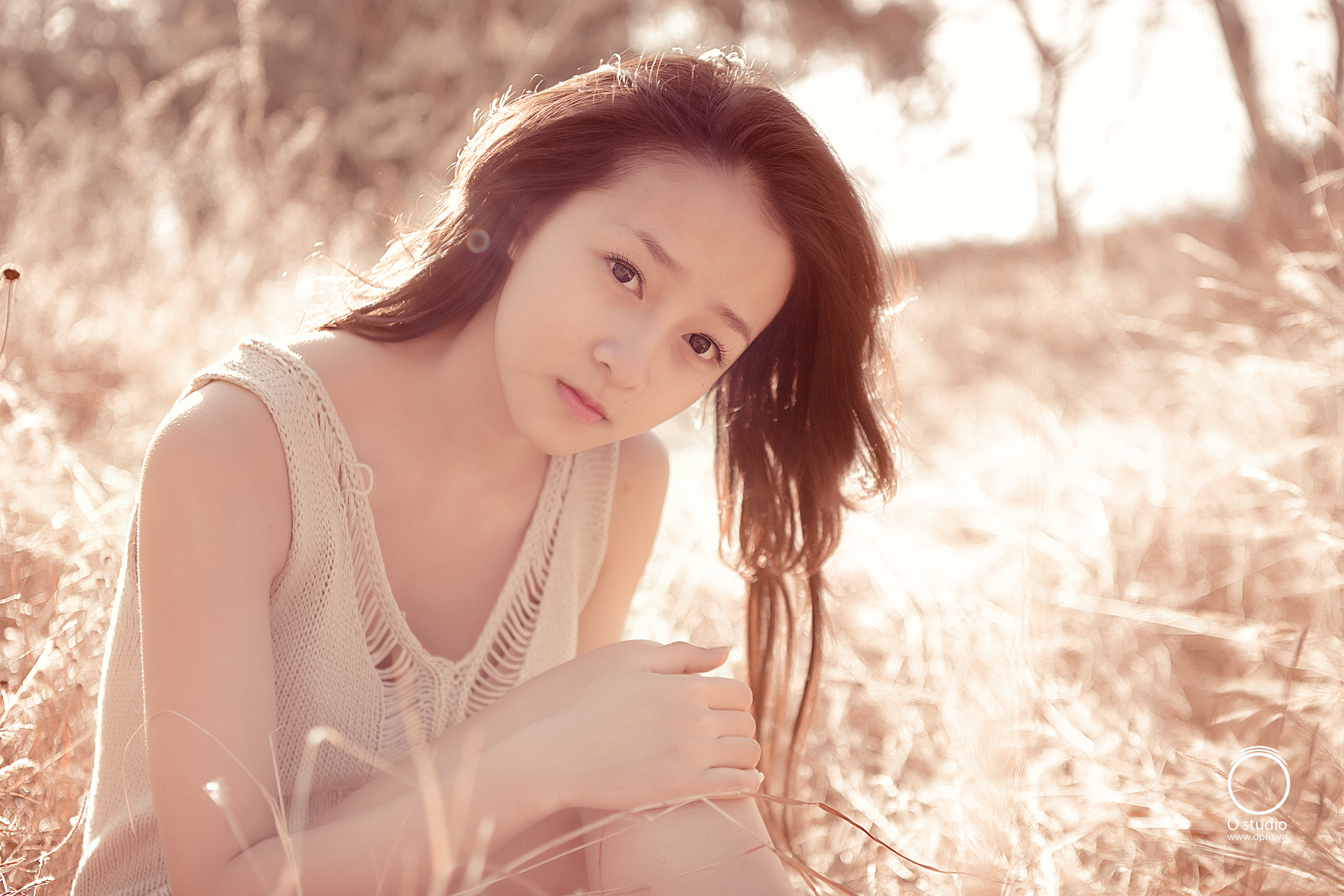 AboutMe banner for @thanhthanh