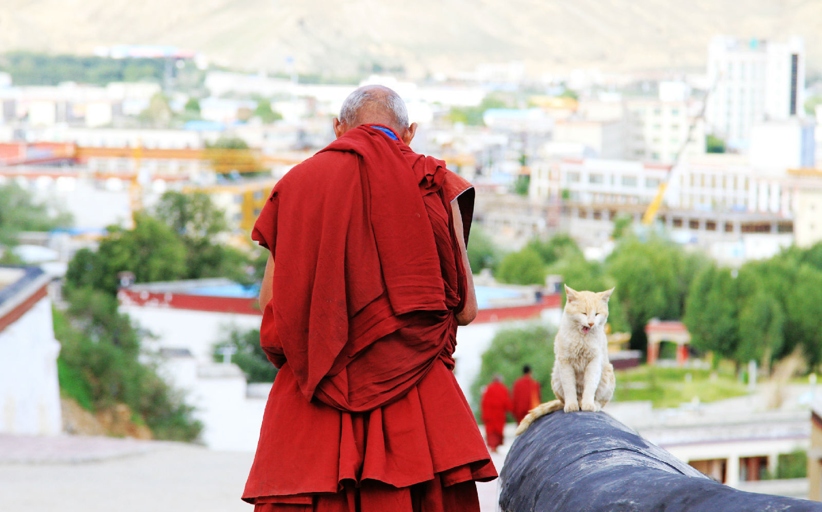 AboutMe banner for @tibet