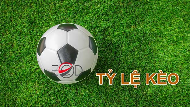 Tỷ lệ kèo trực tuyến - Chìa khóa vàng giúp người chơi đặt cược thành công và tăng lợi nhuận