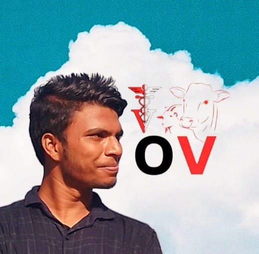 AboutMe banner for @veterinarian