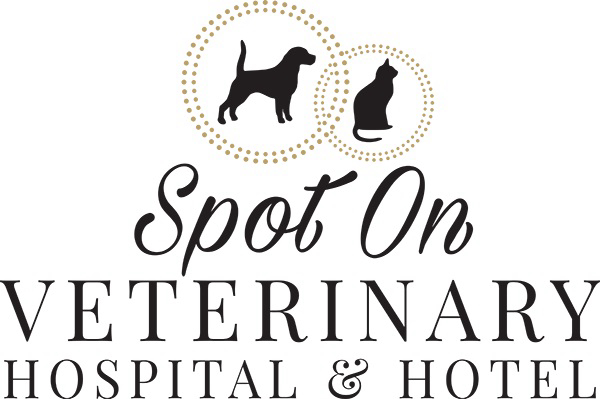 AboutMe banner for @veterinary
