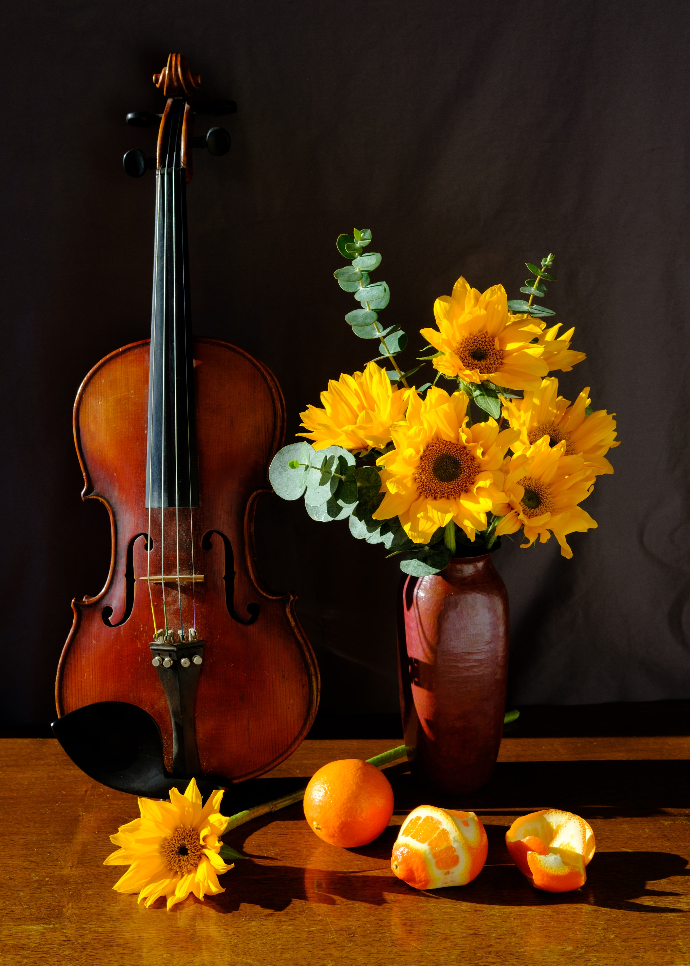 AboutMe banner for @violinist