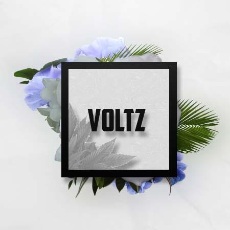 AboutMe banner for @voltz