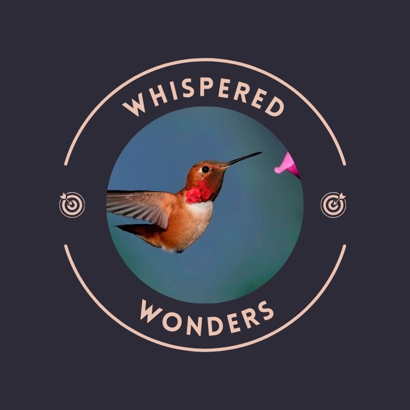 AboutMe banner for @whispered