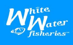 AboutMe banner for @whitewater