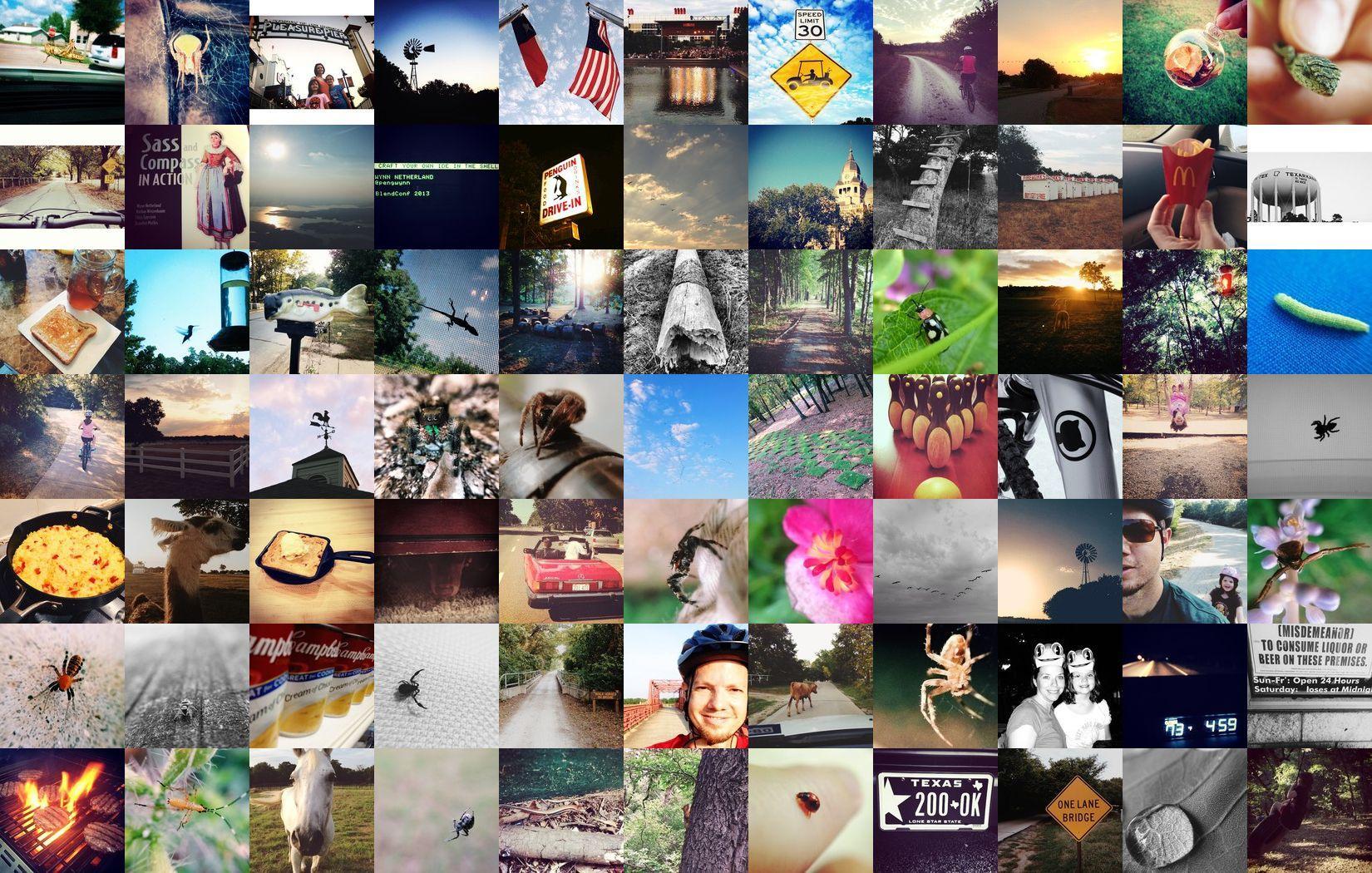 AboutMe banner for @wynn